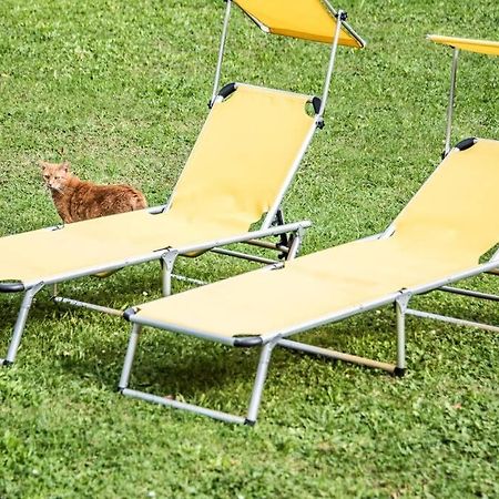 Apartment Pouringraz Fuer Kunst- Und Tennisliebhaber Bagian luar foto