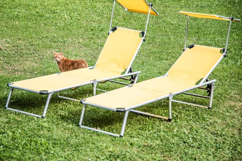 Apartment Pouringraz Fuer Kunst- Und Tennisliebhaber Bagian luar foto